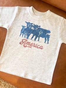 CUSTOM - AMERICA